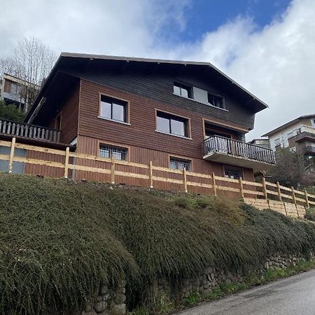 Villa Chalet Les Trois Vallees La Bresse Exterior foto